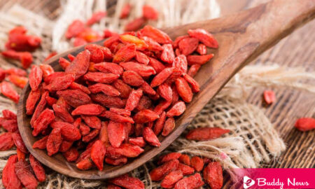 Benefits of Goji Berries And How To Add them In Diet - ebuddynews