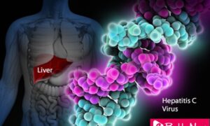 Discovery of Hepatitis C Virus Wins 2020 Nobel Prize in Medicine - eBuddy News