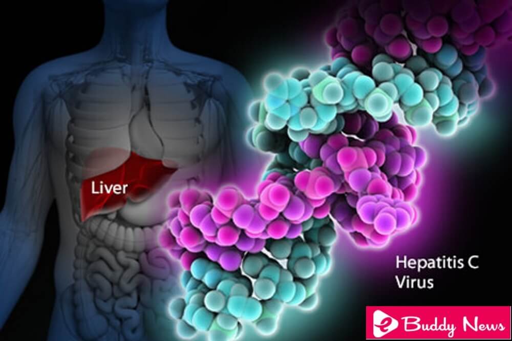 Discovery of Hepatitis C Virus Wins 2020 Nobel Prize in Medicine - eBuddy News