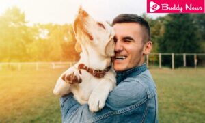 Seven Natural Remedies For Anxiety Dog