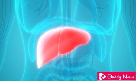What Is A Fatty Liver Disease And Its Types, Causes, Symptoms, And Treatment - ebuddynews