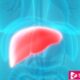 What Is A Fatty Liver Disease And Its Types, Causes, Symptoms, And Treatment - ebuddynews