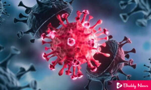 What Are The Symptoms Delta Variant And What Precautions We Take - ebuddynews