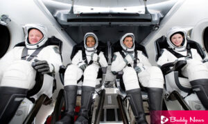 Elon Musk's SpaceX Launched Four Civilians Into Space Orbit - ebuddynews