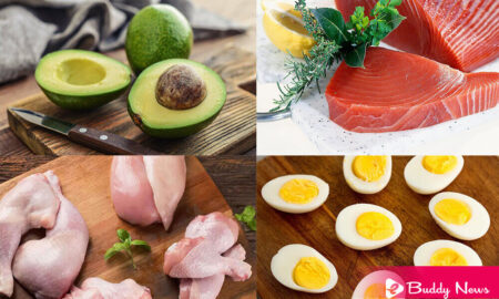 The Top 7 Foods For Your Lose Fat And Gain Muscle - ebuddynews