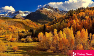 What And When Will Autumnal Equinox 2021 Starts - ebuddynews