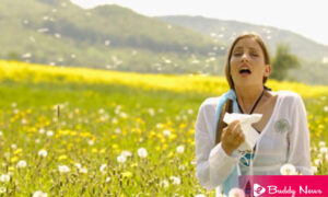 What Are The Allergies And Its Symptoms, Causes, And Treatment - ebuddynews