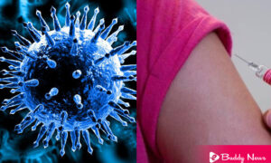 What are The Key Facts About the Influenza Flu Vaccine - ebuddynews