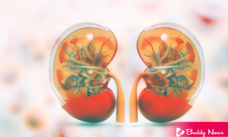 Must Eat These 7 Foods For Cleansing Your Kidneys - ebuddynews