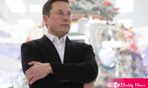 With The SpaceX Elon Musk Became The World's First Trillionaire - ebuddynews