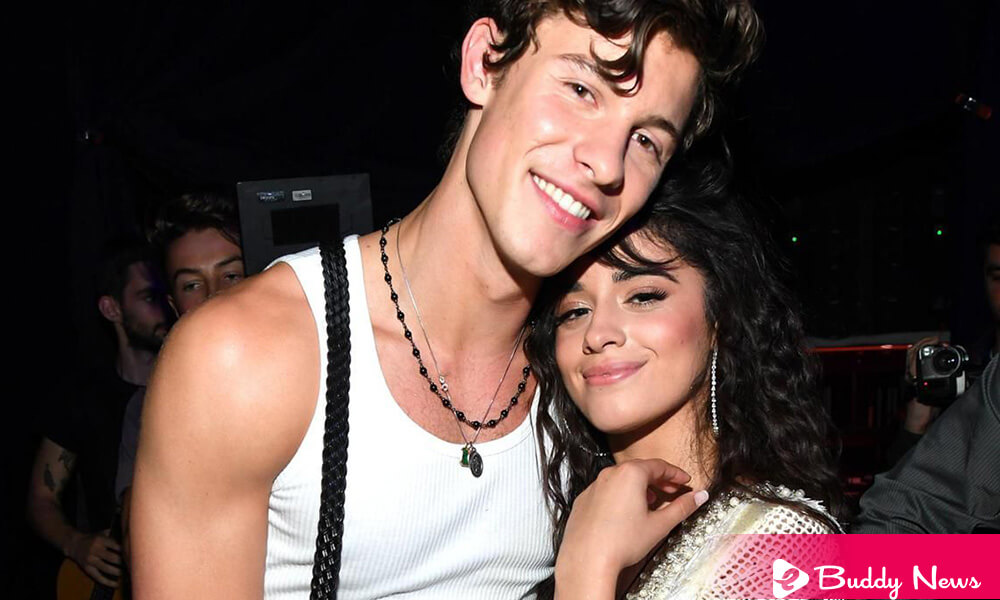 After Two Years Of Their Relationship, Camila Cabello And Shawn Mendes Announced Their Separation - ebuddynews