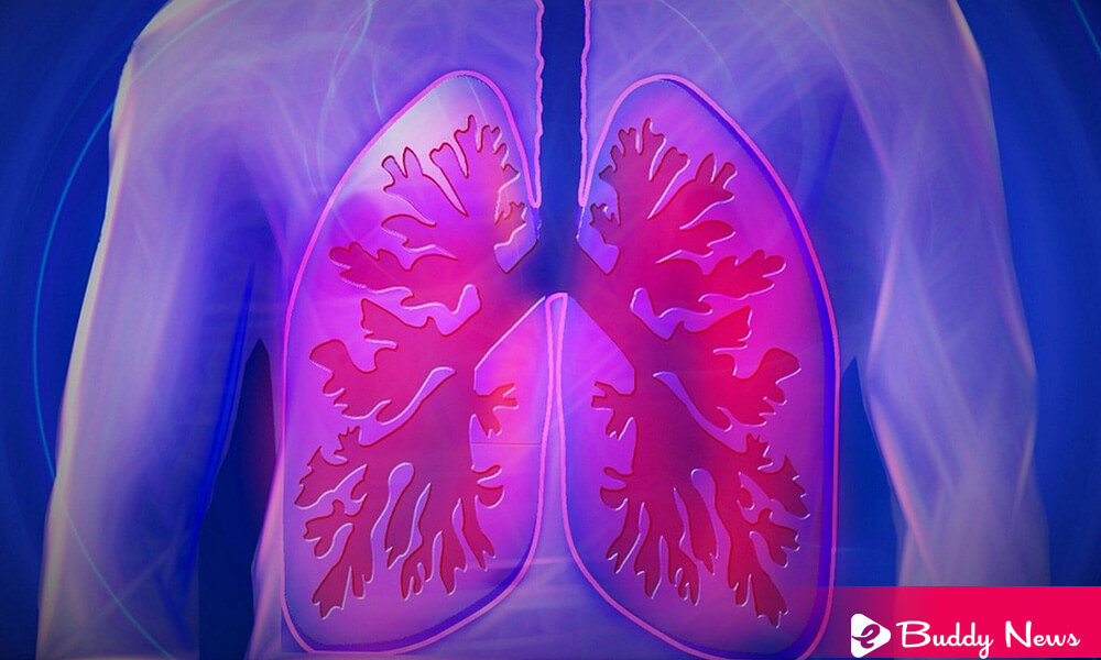Top 7 Methods To Clean Your Lungs In Natural Ways - ebuddynews