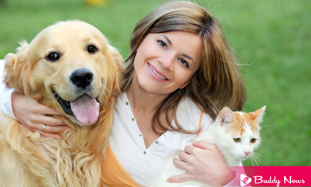 Top 5 Ideas To Show Your Love To Your Pet - ebuddynews