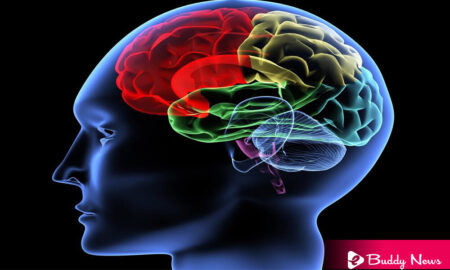 What Is The Brain Hemorrhage, Its Causes, Symptoms And Treatment - ebuddynews