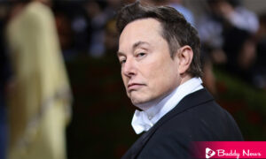 Elon Musk And Twitter CEO Parag Agrawal Discuss Bots On Twitter With Deal In Doubt - ebuddynews