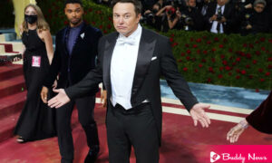 Elon Musk Holds On The Deal Of Twitter Until Knows More About The Fake Accounts - ebuddynews