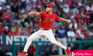 Los Angeles Angels Rookie Reid Detmers Throws No-Hitter Against Tampa Bay Rays - ebuddynews
