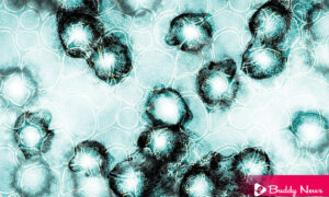 Monkeypox Case Reported In Massachusetts, Officials Confirm - ebuddynews