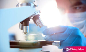 In Drug Trial, Cancer Disappeared In Patients For The First Time In History - ebuddynews