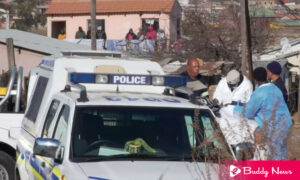 Mass Shooting Leaves 15 People Dead At A Bar In Soweto, South Africa - ebuddynews