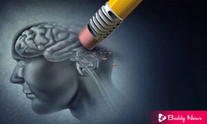 What Is The Difference Between Alzheimer's and Dementia - ebuddynews