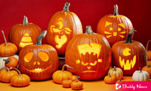 6 Best Pumpkin Decorating Ideas 2022 Halloween - ebuddynews