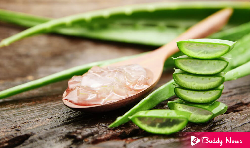 Top 10 Helpful Benefits Of Aloe Vera For Skin And Hair - ebuddynews