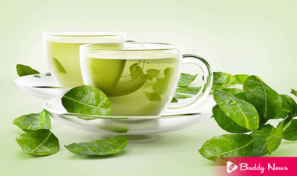 Top 10 Scientific Health Benefits Of Green Tea - ebuddynews