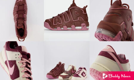 Nike Introduced Its New Valentine's Day shoes 2023 - ebuddynews