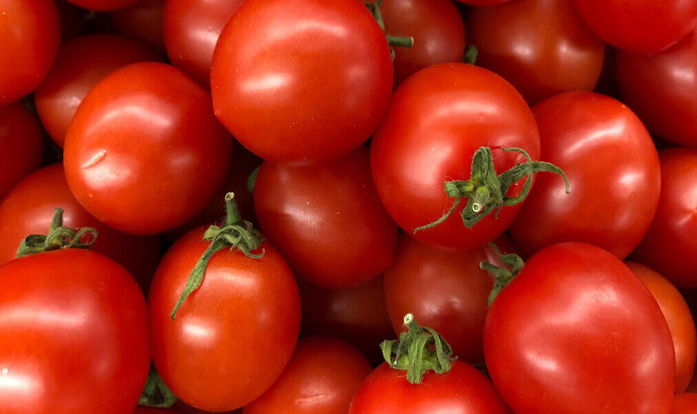 Foods rich in water tomatoes-ebuddynews